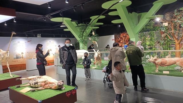 郑州一日游必去的地方，郑州景点排行榜（2022郑州夏季最值得去的六大景点推荐）