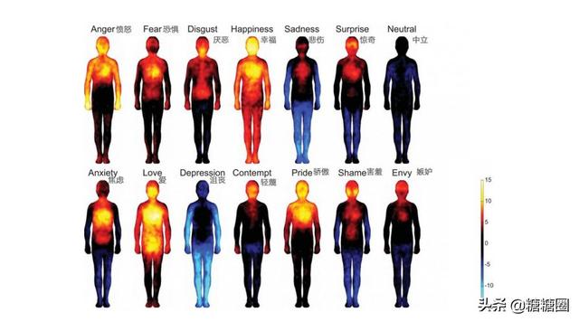心理学7种基本情绪，心理学有哪些情绪现象（情绪的分类和能量等级）