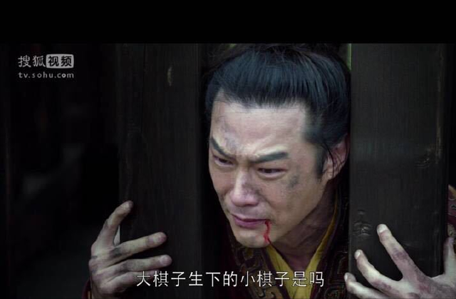 紫依（李紫依），《琅琊榜》成功除了胡歌（安紫依个人资料）