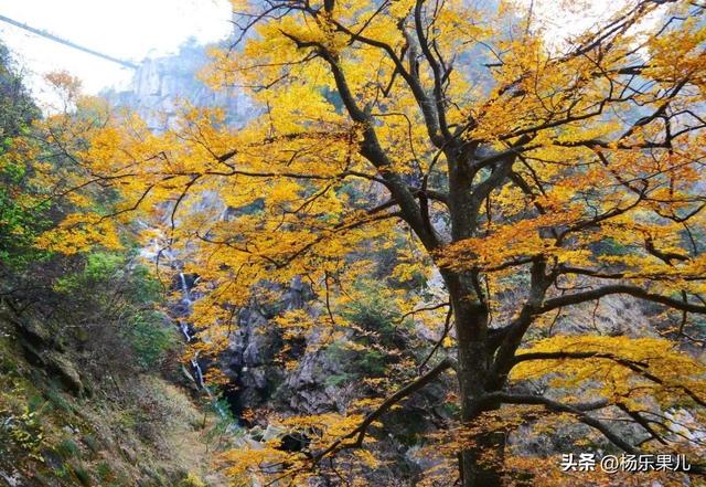 南宁旅游景点最值得去六个景点，南宁景点介绍 南宁旅游景点（超级推荐这5个打卡点）