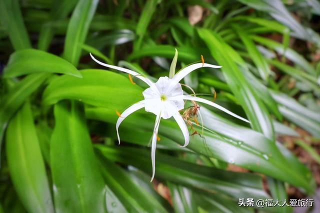 普洱市旅游景点大全，云南普洱有什么景区（发现一个适合发呆放空的好地方）