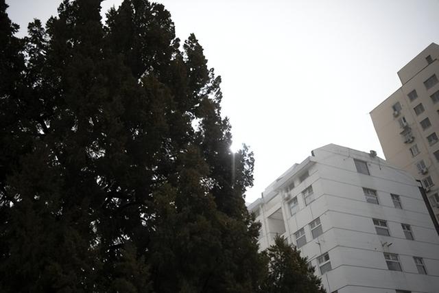 yn是什么牌子，1799元国产全画幅自动对焦镜头