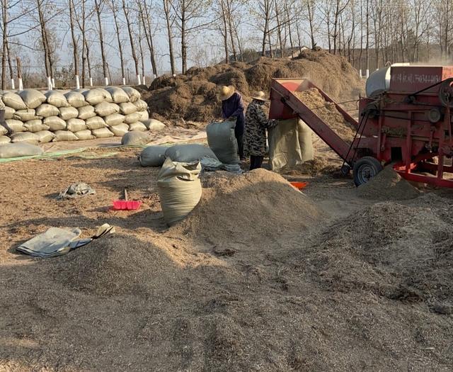 规模,所以在现实生活中,有人就专门利用这些养殖场里畜禽的粪便去挣钱