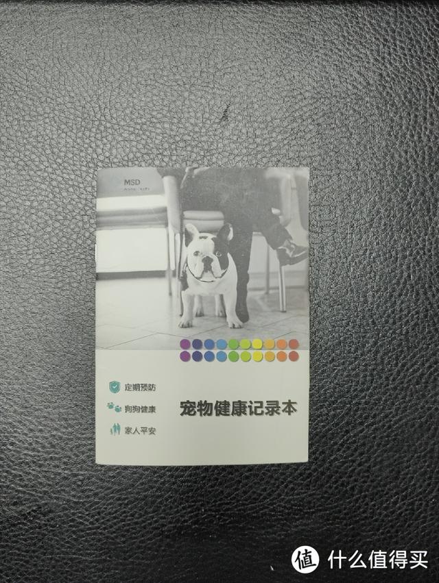 飞机托运收费多少钱一斤，飞机托运收费多少钱一斤2021（可能是全网最全的宠物航空托运攻略）