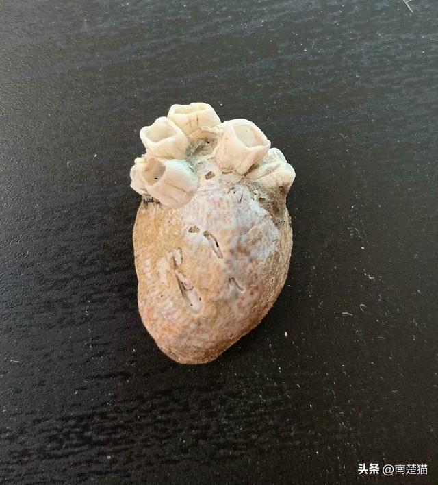性用语cd是什么意思，cd是什么意思的缩写污的（50次人们不得不看两遍才能意识到它们是什么）