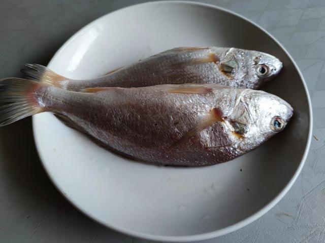 市场上常见的海鱼，海水鱼有哪几种（大多不超10元一斤）