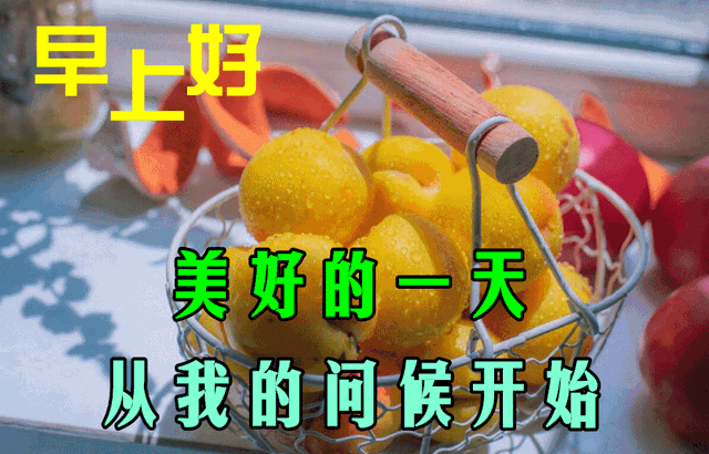 未来可期的唯美句子，未来可期下一句怎么接（早安祝您安康快乐）