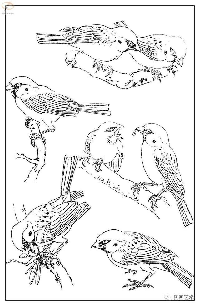 火的简笔画图片，火焰怎么画简笔画图片（画鸟参考——白描麻雀百图）