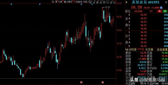 粮食股票有哪些（资金抢筹+绩优农业股出炉）