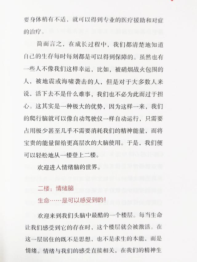 脑发育最关键时期是，孩子大脑发育的关键时期（了解情绪背后的各种因素）
