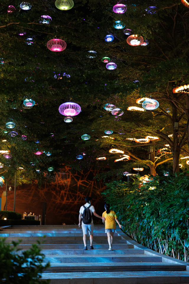 深圳海洋世界攻略，海洋馆、水秀剧场、梦幻巡游…在这里全都有