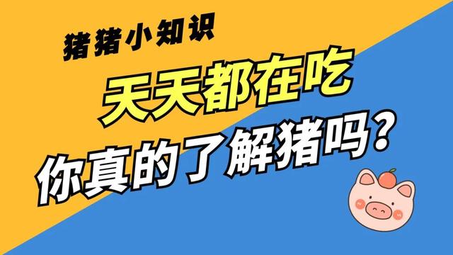 猪肉切片怎么切，猪肉切片怎么切好看（满屏小鲜肉~猪肉部位大拆解）