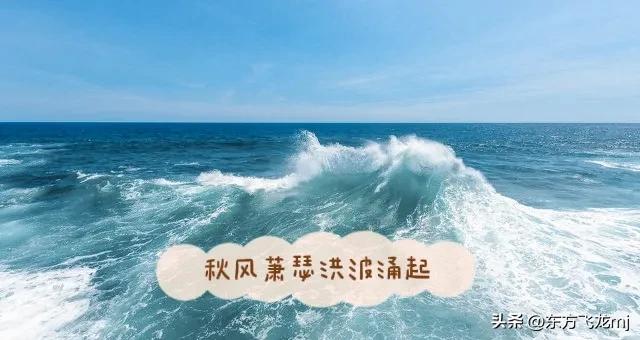 曹操头像，一对两张可爱动漫闺头/“曹操一心要拿荆州微信（欣赏曹操《步出夏门行.观沧海》）