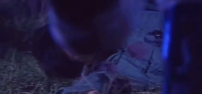 王国第三季什么时候上映，韩国电视剧王国第三季（10大丧尸剧，看完别想睡着）