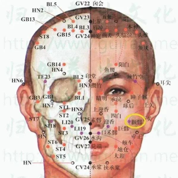  颧髎怎么读，清热消肿、息风止痉—颧髎穴
