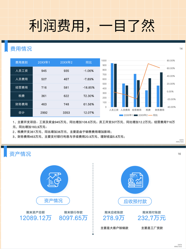 财务大数据分析实训总结，数据可视化实训总结（这才叫年度财务分析报告）