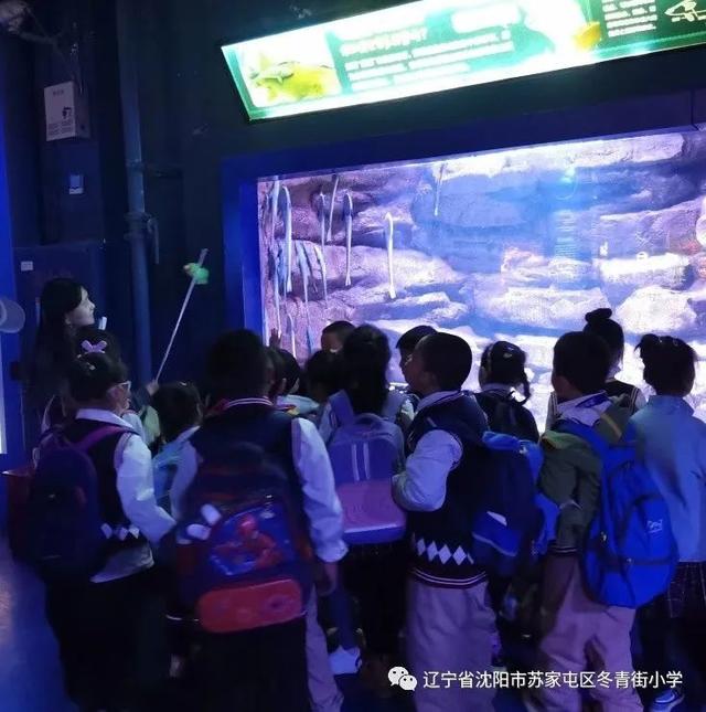 皇家极地海洋世界，带孩子去极地海洋世界（呵护蔚蓝”——冬青街小学研学之旅）