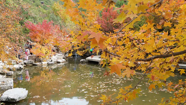 太原旅游景点，太原旅游景点排名前十（山西太原这些地方藏着冬日美景）