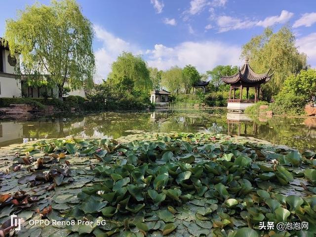 oppo研发的马里亚纳芯片拍照效果，X加持画质更出色