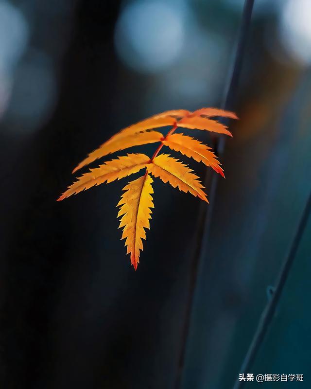 怎么拍照片好看，拍照怎么拍的好看（试试这9个教科书式摄影技巧）