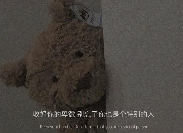 情感语录图，语录大全 情感（有点扎心的情感句）