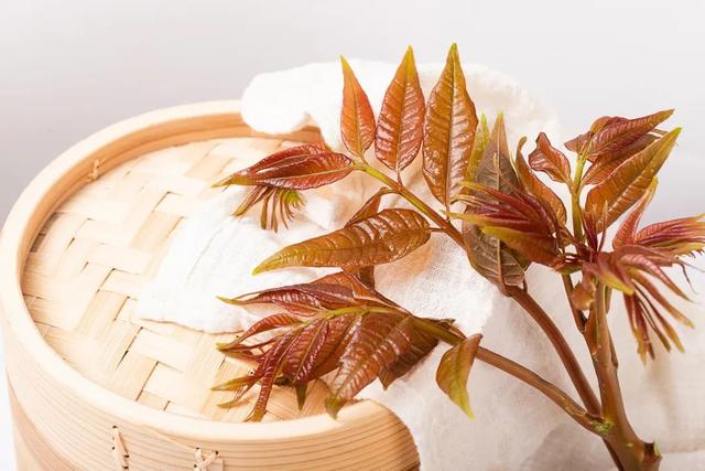 椿芽什么时候发芽，椿芽生长季节（关于香椿的消费提示）