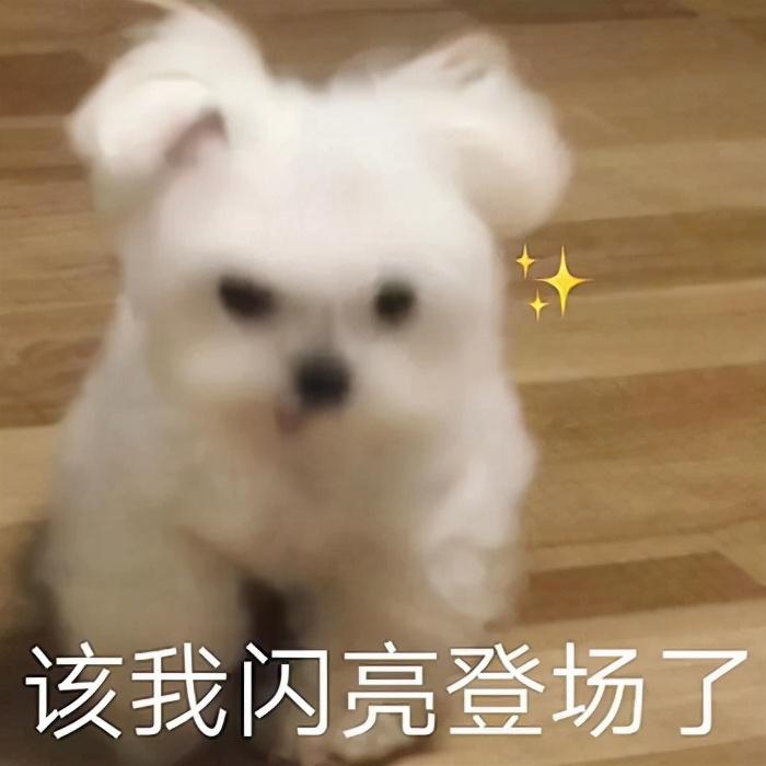 免费交友软件有哪些靠谱（交友APP推荐）