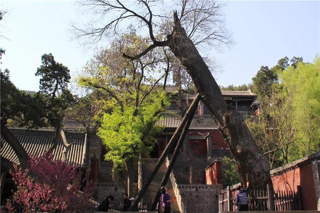 晋祠公园景点介绍，山西晋祠有什么景点好玩（古老晋国宗祠）