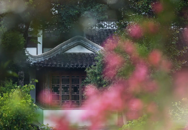 什么葱茏四字词语，关于葱葱茏茏的词语（有关仲夏的古诗词）