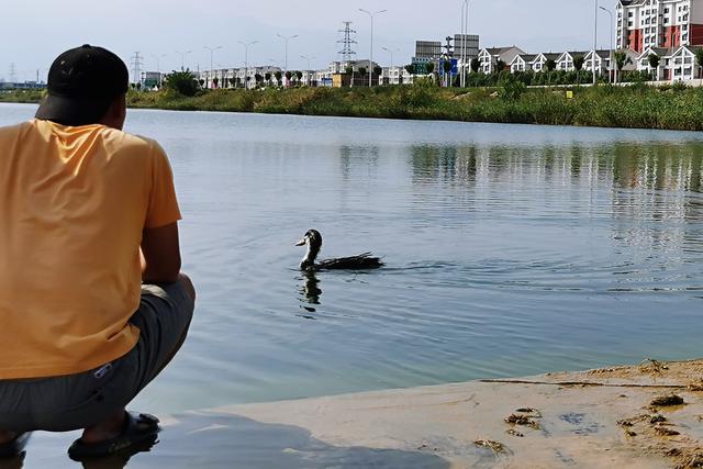 多彩的什么，碧绿碧绿的什么（我的幸福，是多彩的）