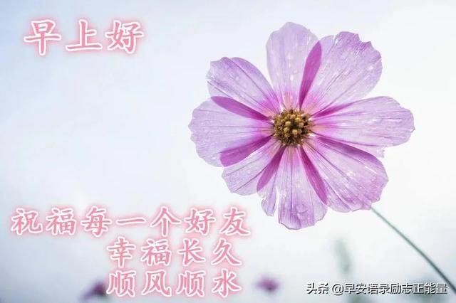 抖音语录经典语录，抖音上的说说经典语录（正能量早安发朋友圈的句子）