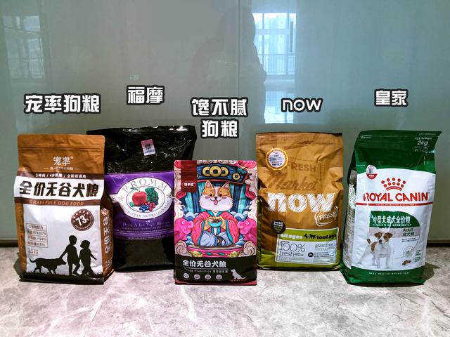 怎么判断一只狗性格是否温顺，教你如何挑选一只温顺的“小土狗”