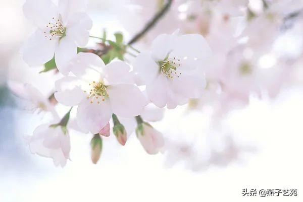 关于立春的经典诗，关于立春的经典古诗（开启诗情画意的一年）