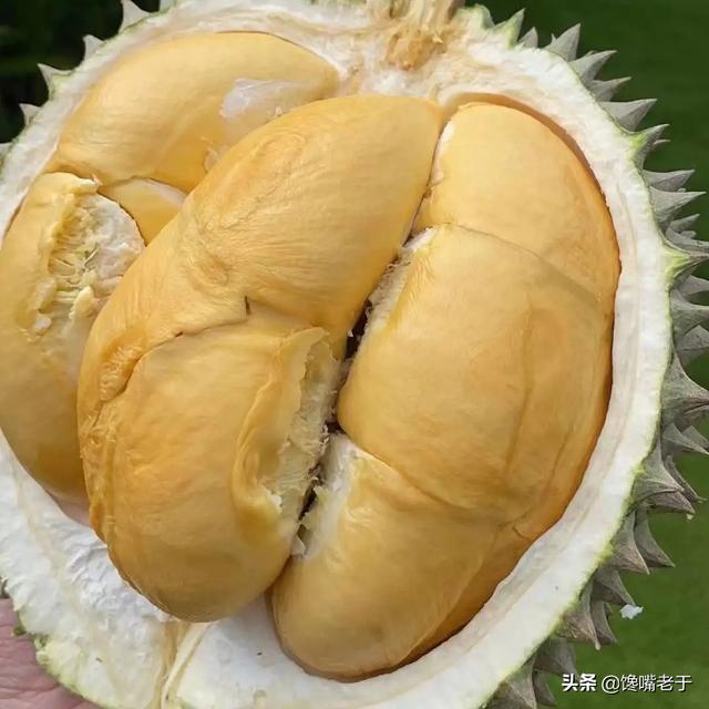 怎么挑选剥开的榴莲肉，榴莲剥出来是什么样子的肉（买榴莲：别只会挑大的）