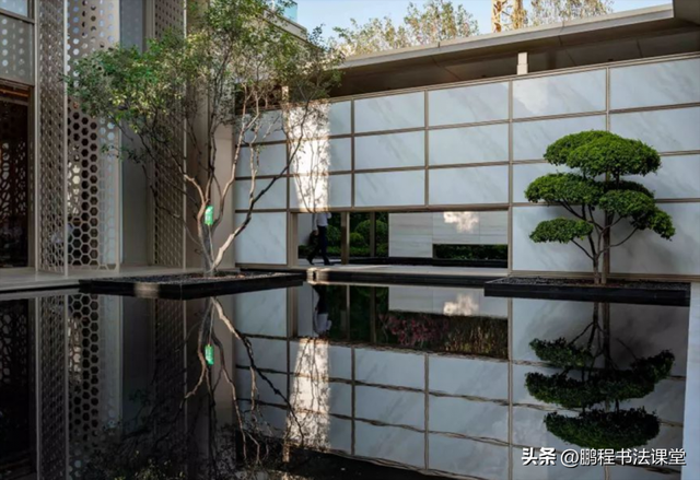 梦见植物是什么征兆，干货丨植物寓意篇