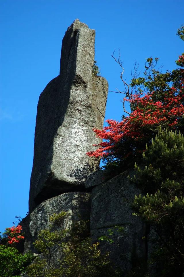 cctv13新闻频道直播，在电脑上怎么看CCTV-13新闻频道直播（羊狮慕景区直播预告，快来围观）