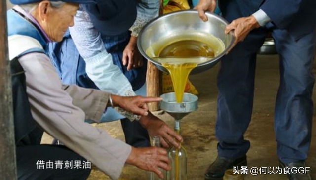 泸沽湖三大禁忌，泸沽湖和洱海哪个更值得去（泸沽湖畔摩梭人的传统食材与饮食文化）