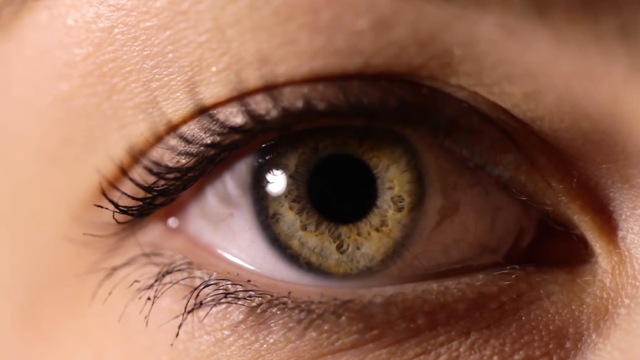 人眼是什么结构，人眼的主要结构（究竟如何进化而来的）