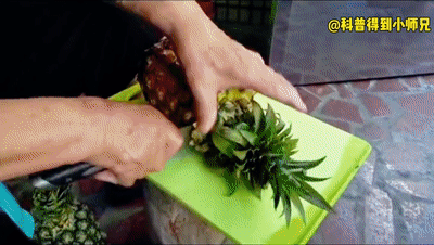 菠萝和凤梨是一样的吗，菠萝和凤梨是一样的吗图片（凤梨还能做罐头）