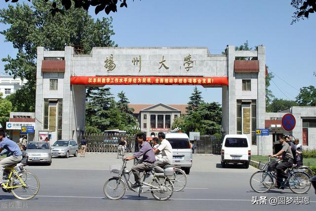 扬州大学排名2021最新排名，2021扬州大学排名（江苏大学、扬州大学：怎么选）