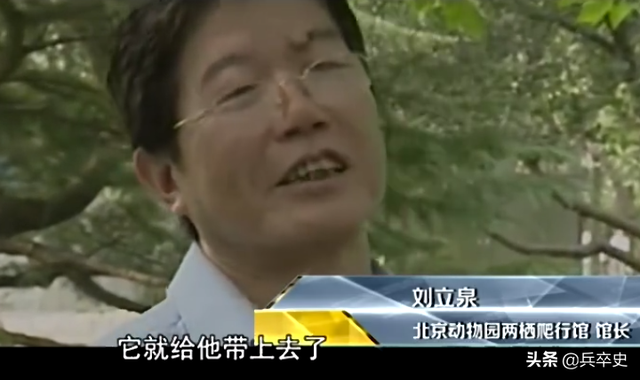 北京动物园百米巨蟒，太平洋底惊现百米巨蟒（海南巨蟒为报恩甘当“保镖”）