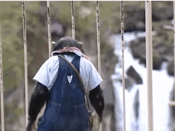 香港综艺节目排行榜，香港经典电影排行榜（那些笑爆肚的TVB经典综艺）