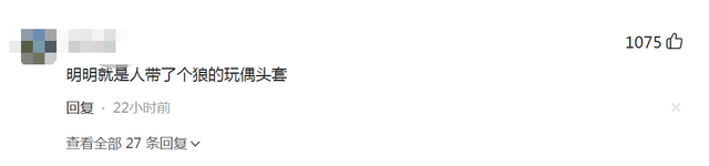 吸血怪兽卓柏卡布拉，卓柏卡布拉吸血的录像（上身像狼、下身像人）