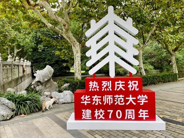 公费师范生有哪些院校，招公费师范生的大学有哪些（这些师大都在培养公费师范生）