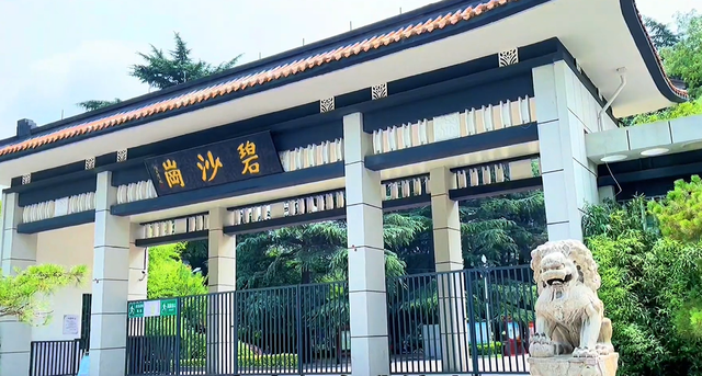 郑州周边免费景点，郑州最近免费旅游景点大全（不出郑州的8个赏花遛娃地）