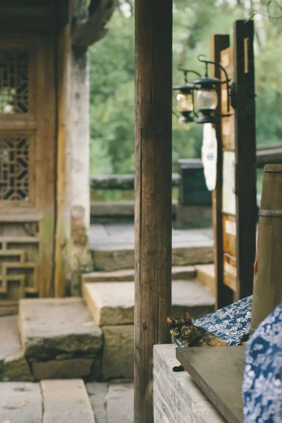 乌镇有什么好玩的，乌镇有什么好玩的景点（乌镇的12种打卡方式）