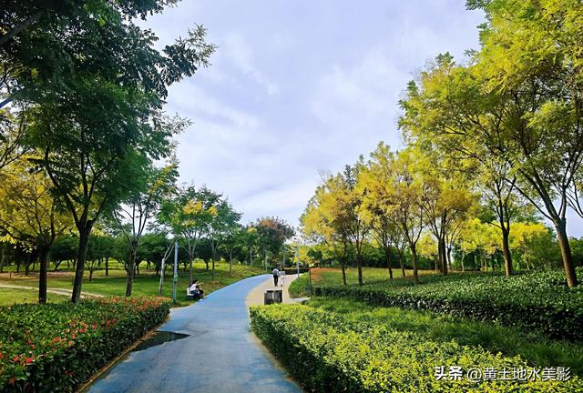 郑州龙湖湿地公园现状分析，河南郑州龙湖湿地公园秋色初露