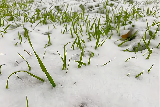 2022年大寒节气是哪一天几点几分，今年大寒节气在哪一天（预测2022年干旱还是水涝）