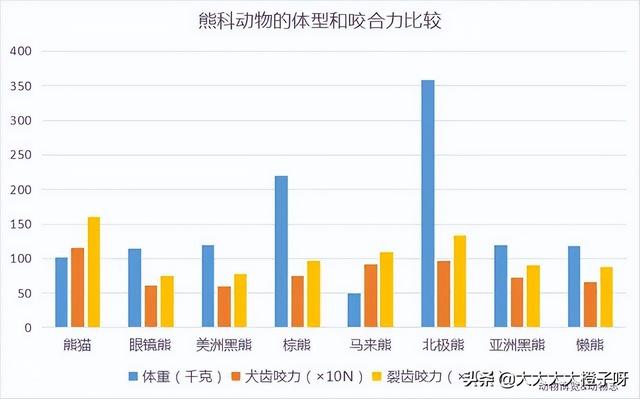 蚩尤骑熊猫什么梗，蚩尤当年骑的真是熊猫吗（蚩尤的坐骑其实是大熊猫）