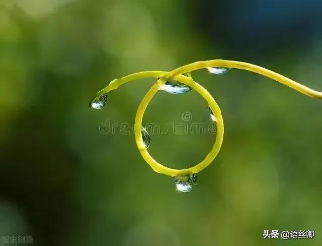 暑假随笔：雨，暑假的暴雨作文（随笔：翩然一场七夕雨）